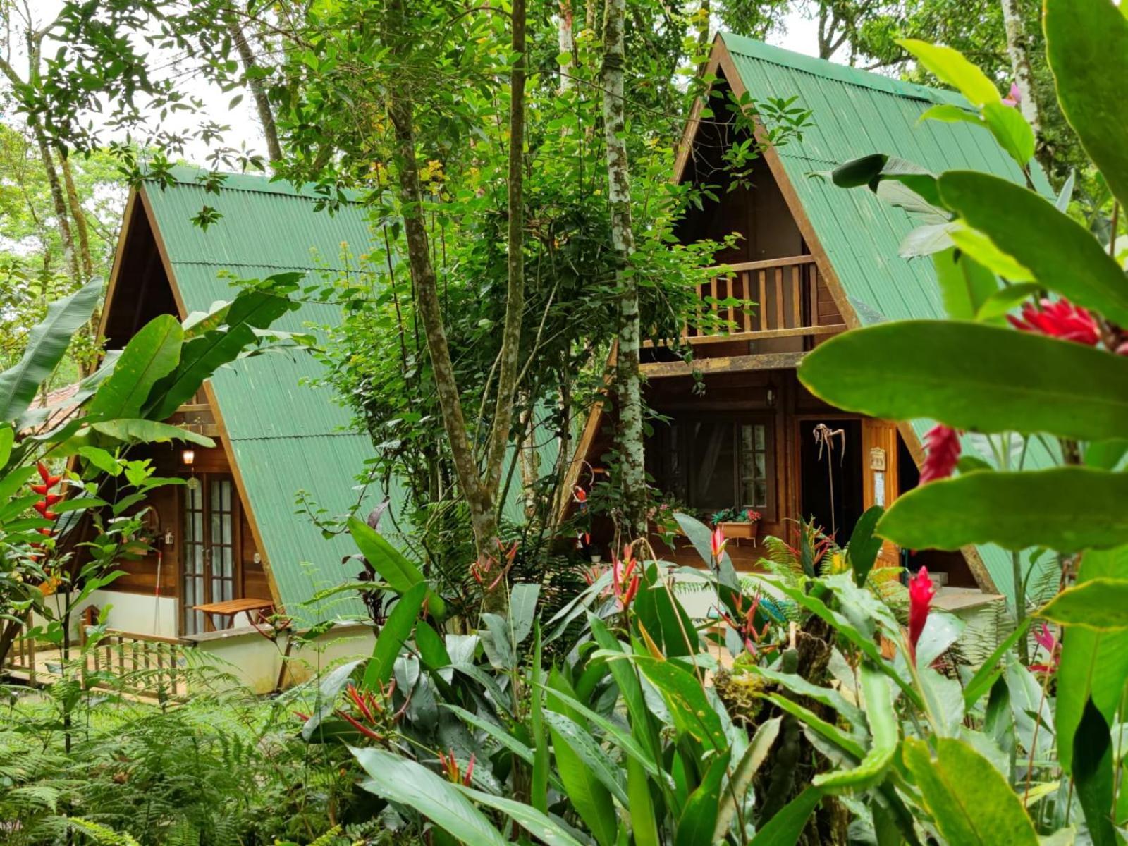 Floresta Encantada Campsite